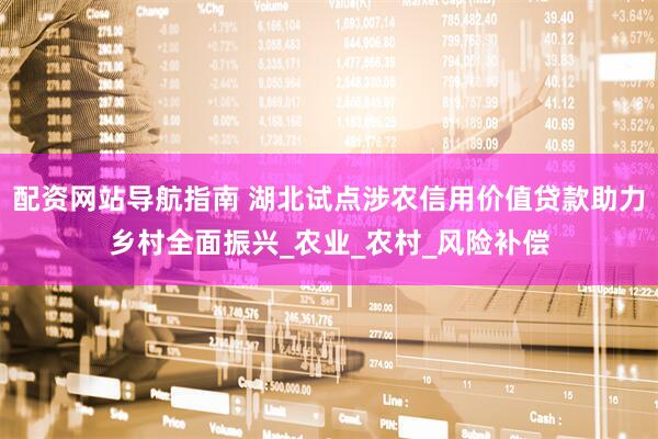 配资网站导航指南 湖北试点涉农信用价值贷款助力乡村全面振兴_农业_农村_风险补偿